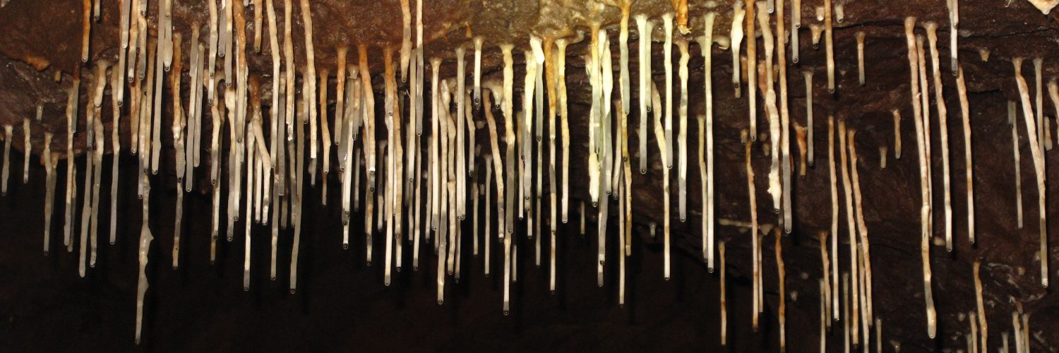 Estalactitas tubulares, macarrones o soda straws, un tipo de espeleotema muy habitual en la cueva la Ensancha, al norte de Lumajo
