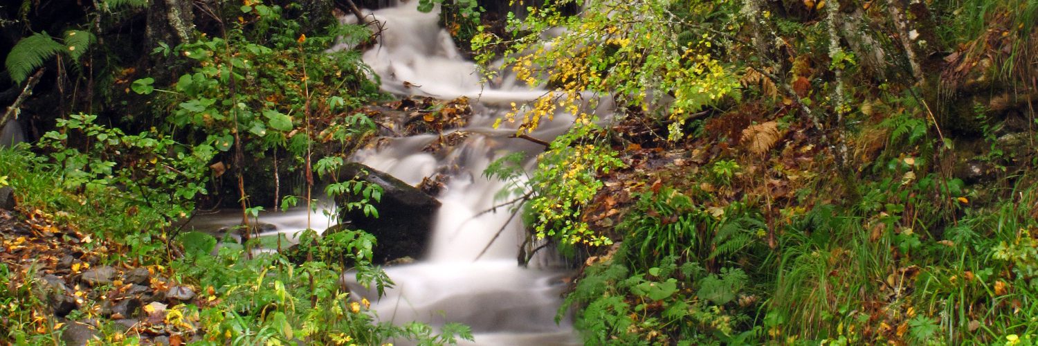 Cascada en el río Bayo cerca del inicio de la ruta de Brañarronda o "de los tejos", al sur de Rioscuro de Laciana